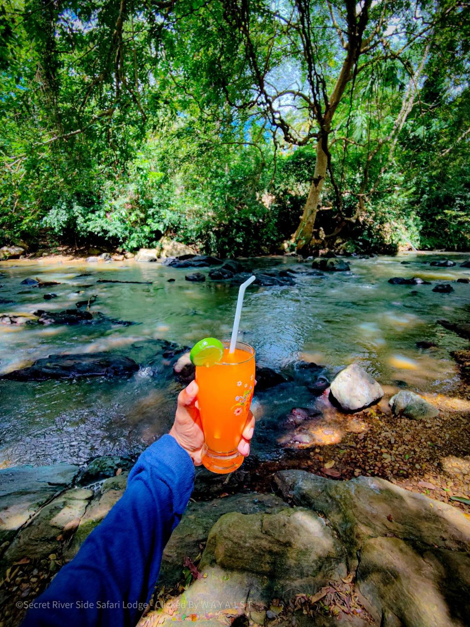 Secret River Side Safari Lodge Удавалаве Екстер'єр фото