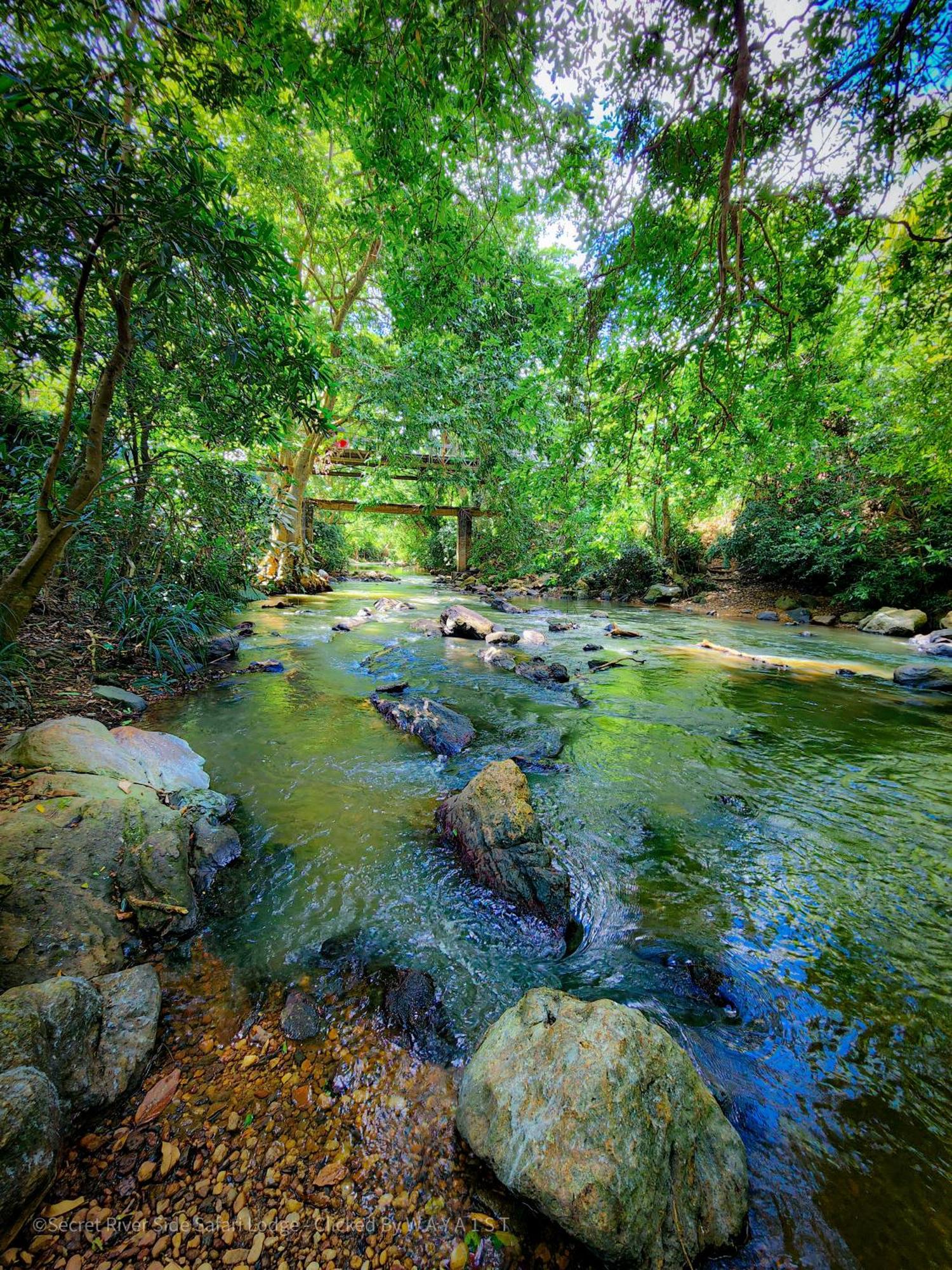 Secret River Side Safari Lodge Удавалаве Екстер'єр фото